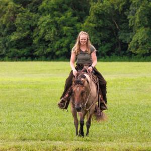 Photo #46 of 41 News Road, Eagle Rock, VA 20.3 acres