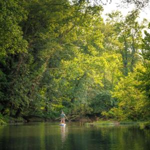 Photo #18 of 41 News Road, Eagle Rock, VA 20.3 acres