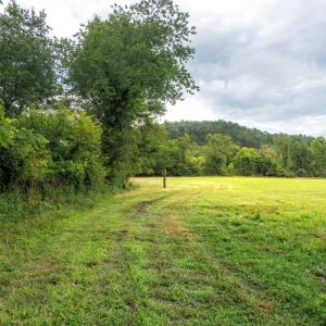 Photo #40 of 41 News Road, Eagle Rock, VA 20.3 acres