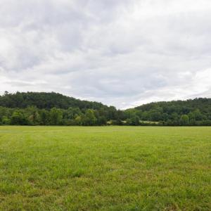 Photo #37 of 41 News Road, Eagle Rock, VA 20.3 acres