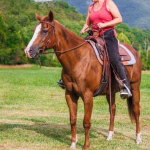 Photo #8 of 41 News Road, Eagle Rock, VA 20.3 acres