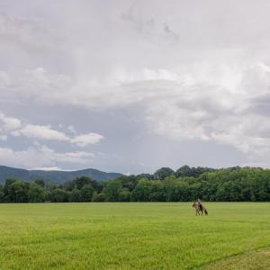 Photo #13 of 41 News Road, Eagle Rock, VA 20.3 acres