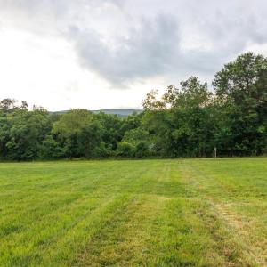 Photo #4 of 41 News Road, Eagle Rock, VA 20.3 acres