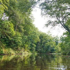 Photo #21 of 41 News Road, Eagle Rock, VA 20.3 acres