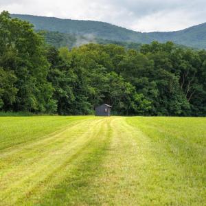 Photo #35 of 41 News Road, Eagle Rock, VA 20.3 acres