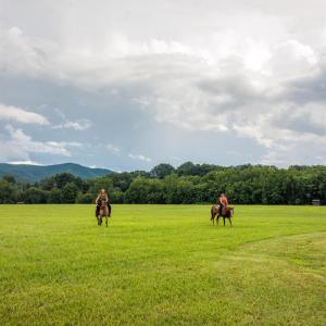 Photo #12 of 41 News Road, Eagle Rock, VA 20.3 acres