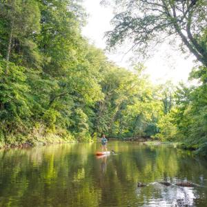 Photo #19 of 41 News Road, Eagle Rock, VA 20.3 acres