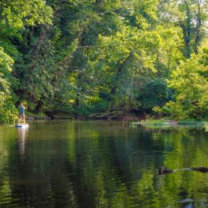 Photo #17 of 41 News Road, Eagle Rock, VA 20.3 acres