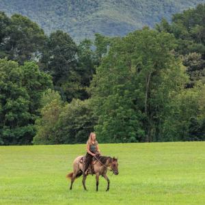 Photo #11 of 41 News Road, Eagle Rock, VA 20.3 acres
