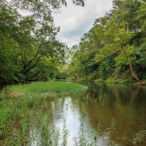 Photo #25 of 41 News Road, Eagle Rock, VA 20.3 acres