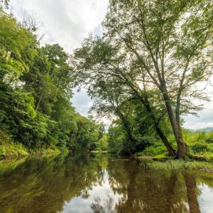 Photo #28 of 41 News Road, Eagle Rock, VA 20.3 acres