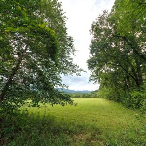 Photo #32 of 41 News Road, Eagle Rock, VA 20.3 acres