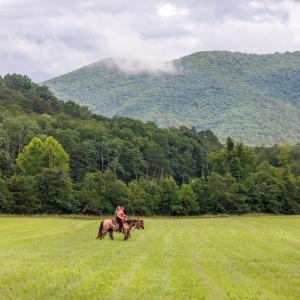 Photo #1 of 41 News Road, Eagle Rock, VA 20.3 acres