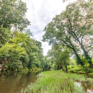 Photo #49 of 41 News Road, Eagle Rock, VA 20.3 acres