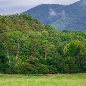 Photo #9 of 41 News Road, Eagle Rock, VA 20.3 acres