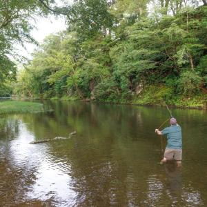 Photo #27 of 41 News Road, Eagle Rock, VA 20.3 acres