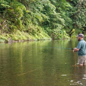 Photo #48 of 41 News Road, Eagle Rock, VA 20.3 acres