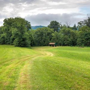 Photo #36 of 41 News Road, Eagle Rock, VA 20.3 acres