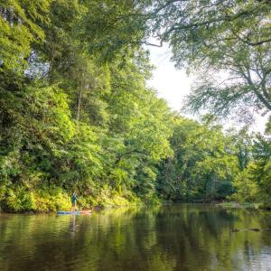 Photo #16 of 41 News Road, Eagle Rock, VA 20.3 acres