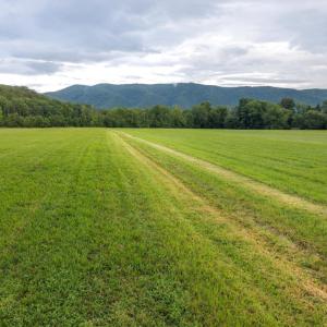 Photo #2 of 41 News Road, Eagle Rock, VA 20.3 acres