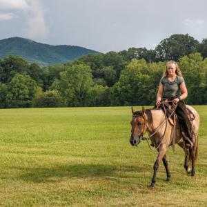 Photo #47 of 41 News Road, Eagle Rock, VA 20.3 acres