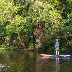 Photo #20 of 41 News Road, Eagle Rock, VA 20.3 acres