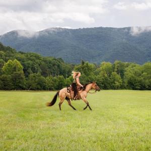 Photo #14 of 41 News Road, Eagle Rock, VA 20.3 acres