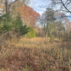 Photo #5 of Five Forks Road, Bedford, VA 11.6 acres