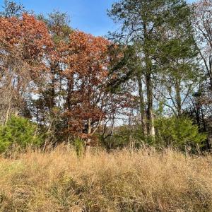 Photo #10 of Five Forks Road, Bedford, VA 11.6 acres