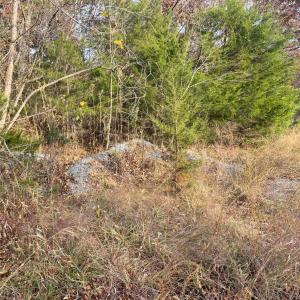 Photo #6 of Five Forks Road, Bedford, VA 11.6 acres