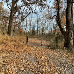 Photo #11 of Five Forks Road, Bedford, VA 11.6 acres