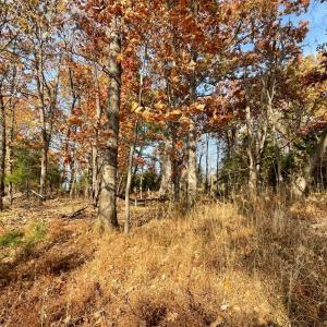 Photo #3 of Five Forks Road, Bedford, VA 11.6 acres