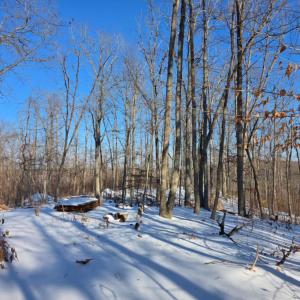 Photo #2 of Country Club Road, Appomattox, VA 10.1 acres