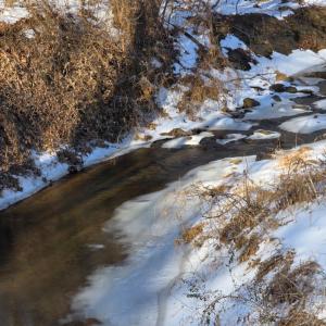 Photo #5 of Country Club Road, Appomattox, VA 10.1 acres