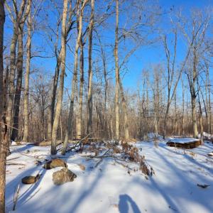 Photo #3 of Country Club Road, Appomattox, VA 10.1 acres