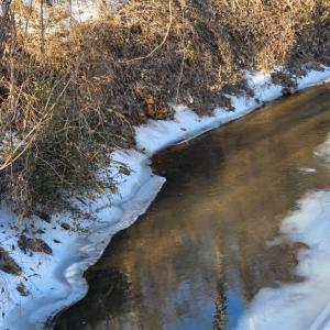 Photo #6 of Country Club Road, Appomattox, VA 10.1 acres