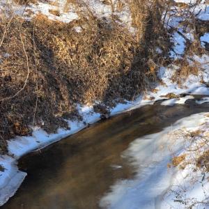 Photo #4 of Country Club Road, Appomattox, VA 10.1 acres