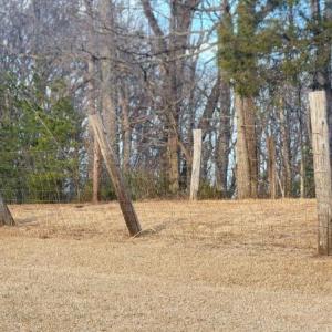 Photo #16 of Jackrabbit Lane, Coleman Falls, VA 35.6 acres