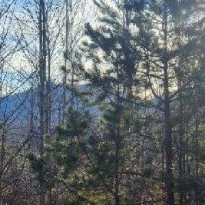 Photo #25 of Jackrabbit Lane, Coleman Falls, VA 35.6 acres