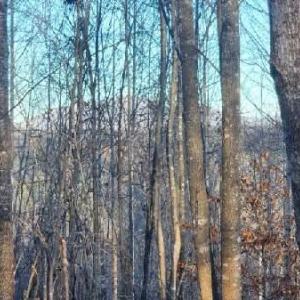 Photo #23 of Jackrabbit Lane, Coleman Falls, VA 35.6 acres