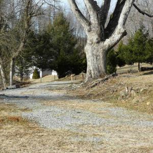 Photo #2 of Jackrabbit Lane, Coleman Falls, VA 35.6 acres
