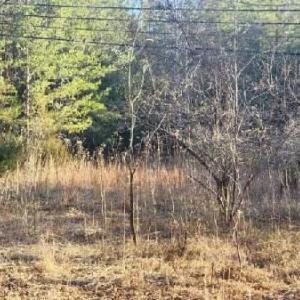 Photo #26 of Jackrabbit Lane, Coleman Falls, VA 35.6 acres