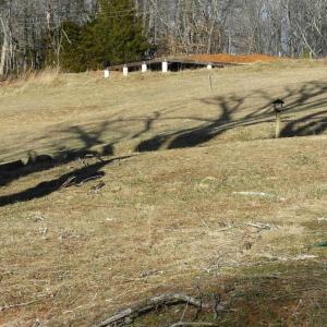 Photo #3 of Jackrabbit Lane, Coleman Falls, VA 35.6 acres