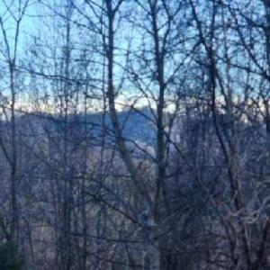 Photo #19 of Jackrabbit Lane, Coleman Falls, VA 35.6 acres