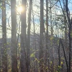 Photo #27 of Jackrabbit Lane, Coleman Falls, VA 35.6 acres