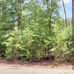 Photo #22 of Talon Ridge Road, Pittsville, VA 1.7 acres