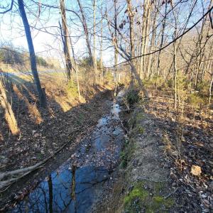 Photo #8 of Bethany Rd., Rustburg, VA 47.4 acres