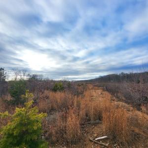 Photo #3 of Bethany Rd., Rustburg, VA 47.4 acres