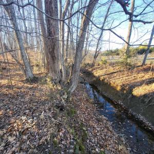 Photo #7 of Bethany Rd., Rustburg, VA 47.4 acres