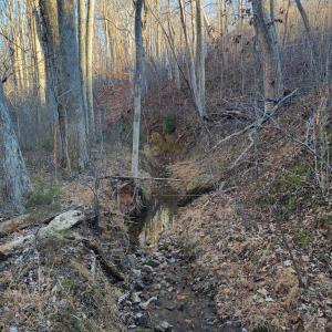 Photo #4 of Bethany Rd., Rustburg, VA 47.4 acres